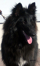 VogueLady25.03.2007-1v.Valo.head7.jpg (53413 bytes)