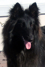VogueLady25.03.2007-1v.Valo.head8.jpg (52123 bytes)