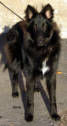 VogueLady5.11.2006-7kk11pv.Valo2.jpg (90299 bytes)
