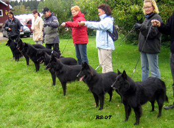 W.Gr.16.09.2007-Pentu.tapaaminen.1v1v6kk.4.jpg (204099 bytes)
