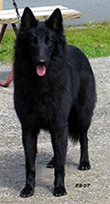 WildWoman30.06.2007-15kk.Windy.jpg (80996 bytes)