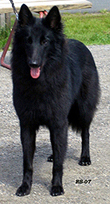 WildWoman30.06.2007-15kk.Windy2.jpg (75003 bytes)