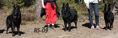 WilyWinner.WiseWolf.WidemindHeart02.05.2009-3v1kk3vp.Wily.Wega.Mindy.1.jpg (75731 bytes)