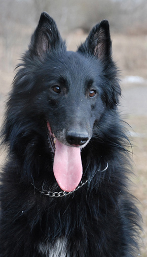 Xcaliber Chaos 14.04.2010 - 2v 9kk. Leevi.head.jpg (189150 bytes)