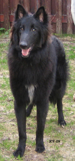 Xcaliber Chaos30.04.2008 - 9kk.Leevi.4.jpg (95610 bytes)