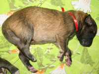 XcitingLady29.07.2007-13tuntia.jpg (153161 bytes)