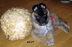 XcitingLady8.09.2007-6vkoa.Leti.jpg (63184 bytes)