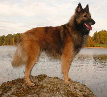 XtremeXpert17.10.2009-2v3kk.Elmo.jpg (128878 bytes)