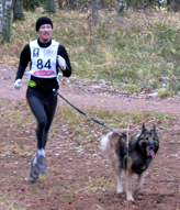 XtremeXpert24.10.2009-2v3kk.Elmo.Vili.Canicross.jpg (133323 bytes)