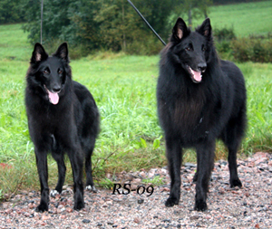Young Lady. Yank Yippee 6.9.2009 - 2v. Zeni. Furi.jpg (118095 bytes)
