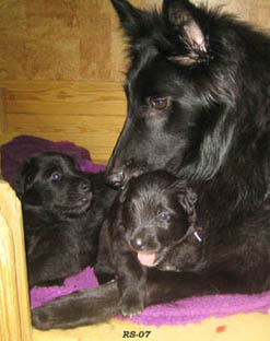 YoungLady.YankYippee.RealLady28.09.2007-3vk.jpg (49177 bytes)
