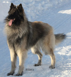 A Small Victory 12.2.2011 - 2v6kk Edi.24.jpg (35776 bytes)