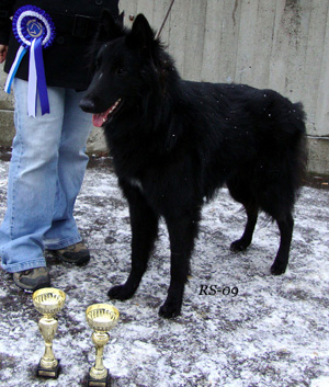 Aim To Win 13.12.2009 - 16kk. Paavo. PMJV-09.3.jpg (158636 bytes)