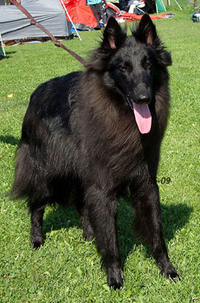 Are U Ready 8.08.2009-1v. Adi.1.jpg (166936 bytes)