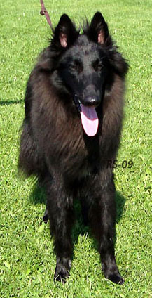 Are U Ready 8.08.2009-1v. Adi.3.jpg (95813 bytes)