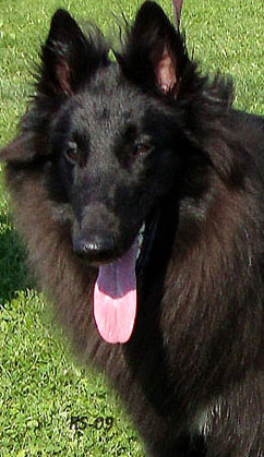 Are U Ready 8.08.2009-1v. Adi.head3.jpg (68019 bytes)