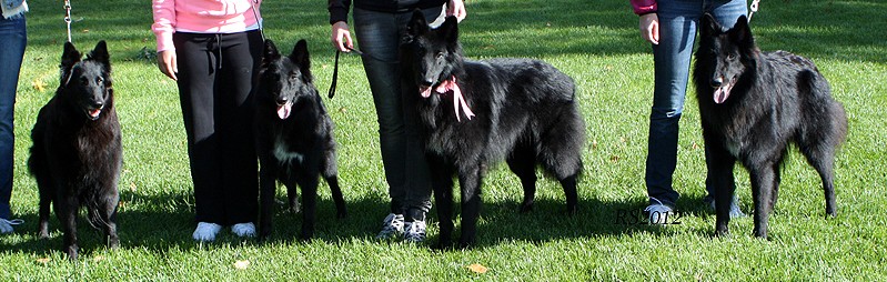 Aurora.Girl Can Rock.Good Luck Charm. Good As Gold 9.09.2012 - 1v3kk.Aku.Gidi.Verdi.Koda.RS12.jpg (367189 bytes)