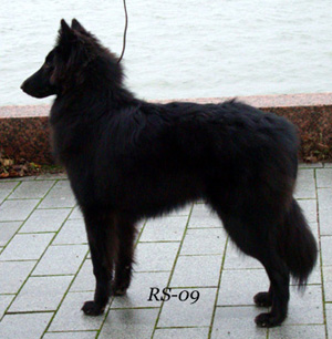 Cradle Of Love 5.12.2009 - 7kk1vk. Viola.VSP-pentu.jpg (74823 bytes)
