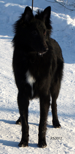 Forever Shine On 5.02.2012 - 8kk. Kone.12.jpg (147274 bytes)