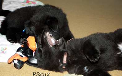 Handle with Care.Here and Now 24.02.2012 - 6vk. Hemi. Nowa.1.jpg (150253 bytes)