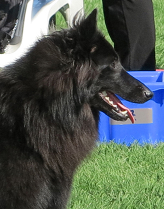 Jet City Woman 11.05.2013 - 1v1kk. Jetzi. MH7.jpg (109332 bytes)