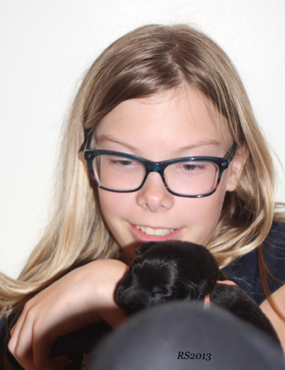 K-Gr.12.10.2013 -3 vrk.Persikka.RS3,1.jpg (155526 bytes)
