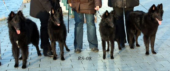 Z-pentue 07.12.2008-8kk3vk3pv. Zaki. Zili. Zeni. Zena.jpg (162571 bytes)