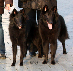 ZanyZenith.ZuperZena07.12.2008-8kk3vk3pv.Zeni.Zena.jpg (77738 bytes)