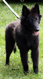 ZanyZenith19.07.2008-4kk5pv.Zeni.jpg (61886 bytes)