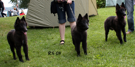 ZicZac.ZanyZenith.ZweetZircon19.07.2008-4kk5pv.Zaki.Zeni.Zili.3.jpg (174955 bytes)