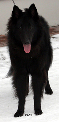 Zuper Zena 14.3.2009 - 1v. Zena.5.jpg (130198 bytes)