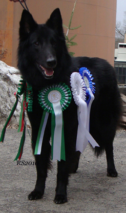 Zuper Zena 24.04.2010 - 2v1kk. Zena. FI MVA.14.jpg (344833 bytes)
