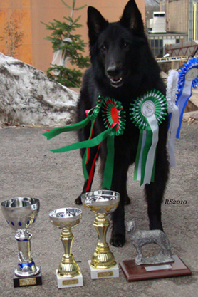 Zuper Zena 24.04.2010 - 2v1kk. Zena. FI MVA.4.jpg (683515 bytes)