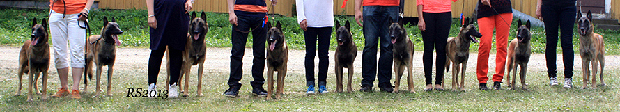 Aatu.Oliver.Ali.Kerttu.Asta.Alli.Aino 30.06.2013 - 1v1kk.RS12.jpg (246379 bytes)