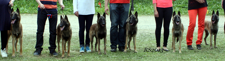 Aatu.Oliver.Ali.Kerttu.Asta.Alli.Aino 30.06.2013 - 1v1kk.RS5.jpg (219712 bytes)