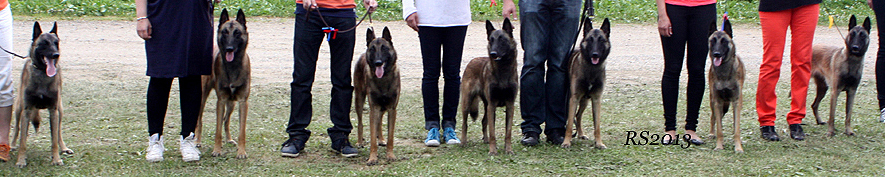 Aatu.Oliver.Ali.Kerttu.Asta.Alli.Aino 30.06.2013 - 1v1kk.RS6.jpg (256128 bytes)