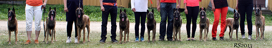 Aatu.Oliver.Ali.Kerttu.Asta.Alli.Aino 30.06.2013 - 1v1kk.RS8.jpg (240159 bytes)
