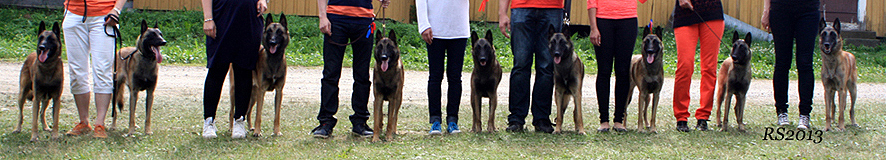 Aatu.Oliver.Ali.Kerttu.Asta.Alli.Aino 30.06.2013 - 1v1kk.RS9.jpg (246097 bytes)