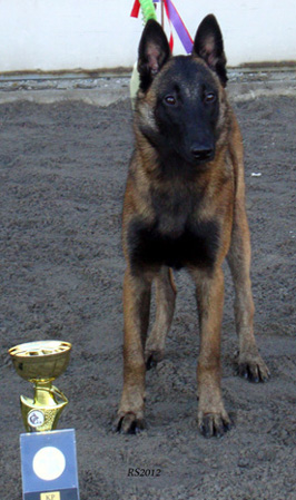Aika Moinen Kerttu 28.10.2012 - 5.5 kk. Kerttu. RS1.1.jpg (65366 bytes)
