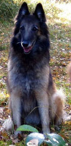 Aloween-Heart09.10.2005-10v7kk.jpg (71886 bytes)