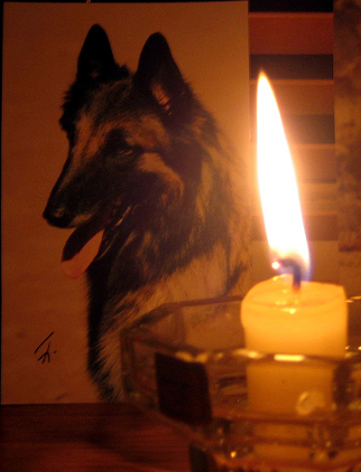 Aloween-Heart13.02.2008.jpg (702690 bytes)