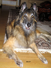 Aloween.Baloween-04.03.2007.Weeny.12v.jpg (346690 bytes)