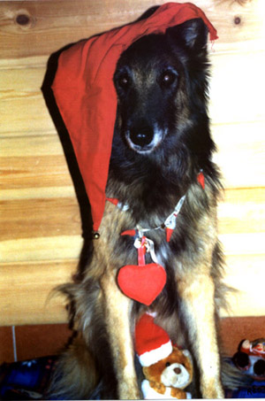 AloweenHeart12.11.2003.jpg (158886 bytes)