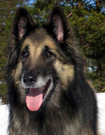 Baloween-Baby26.03.2005-8v.3.jpg (74453 bytes)