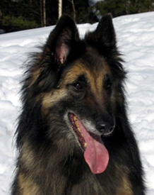 Baloween-Baby26.03.2005-8v.5.jpg (98277 bytes)