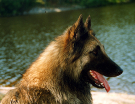 BaloweenBaby3.JPG (115392 bytes)
