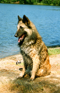 BaloweenBaby4.JPG (700720 bytes)