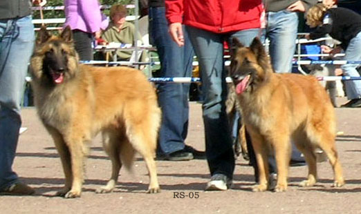 Eole-Ann.Hex-Hot11.09.2005-Porvoo.jpg (33873 bytes)
