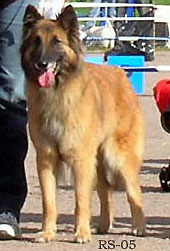 Eole-Ann11.09.2005-6v3kk.jpg (27227 bytes)