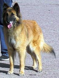 Eole-Ann11.9.2005-6v4kk.jpg (56936 bytes)